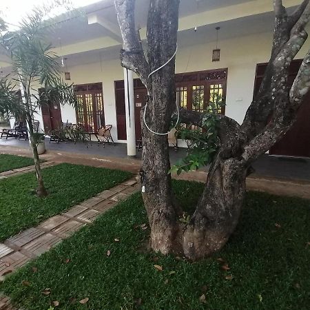 Sigiriya Green Garden Homestay Екстер'єр фото