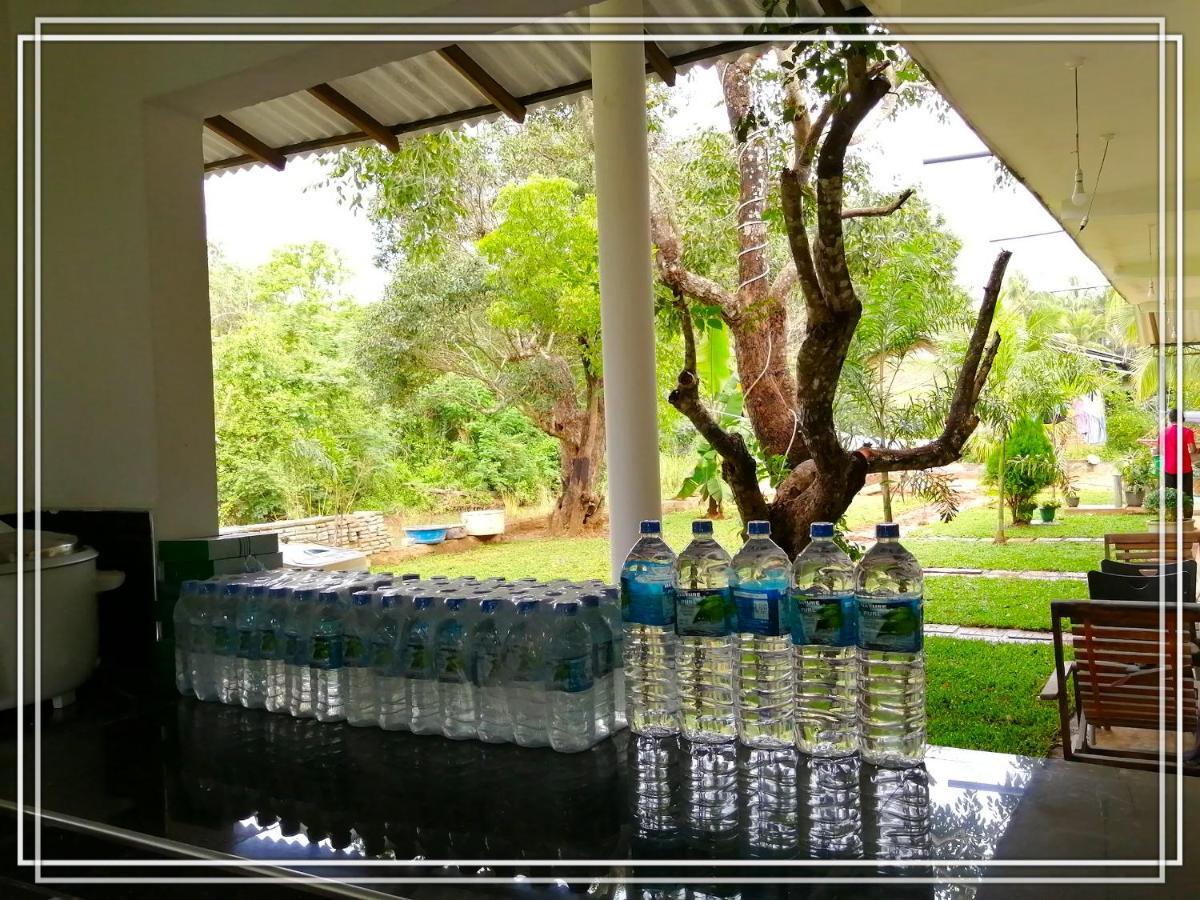 Sigiriya Green Garden Homestay Екстер'єр фото