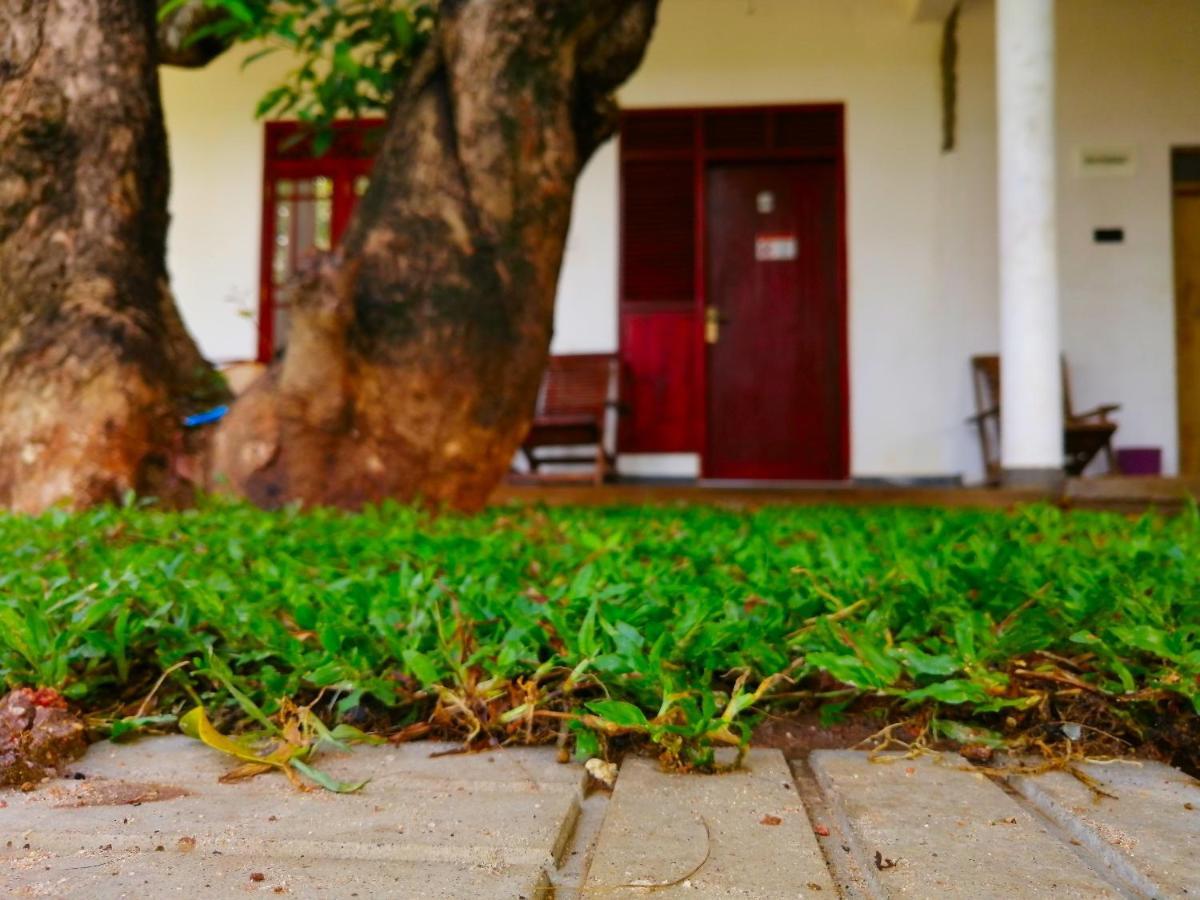 Sigiriya Green Garden Homestay Екстер'єр фото