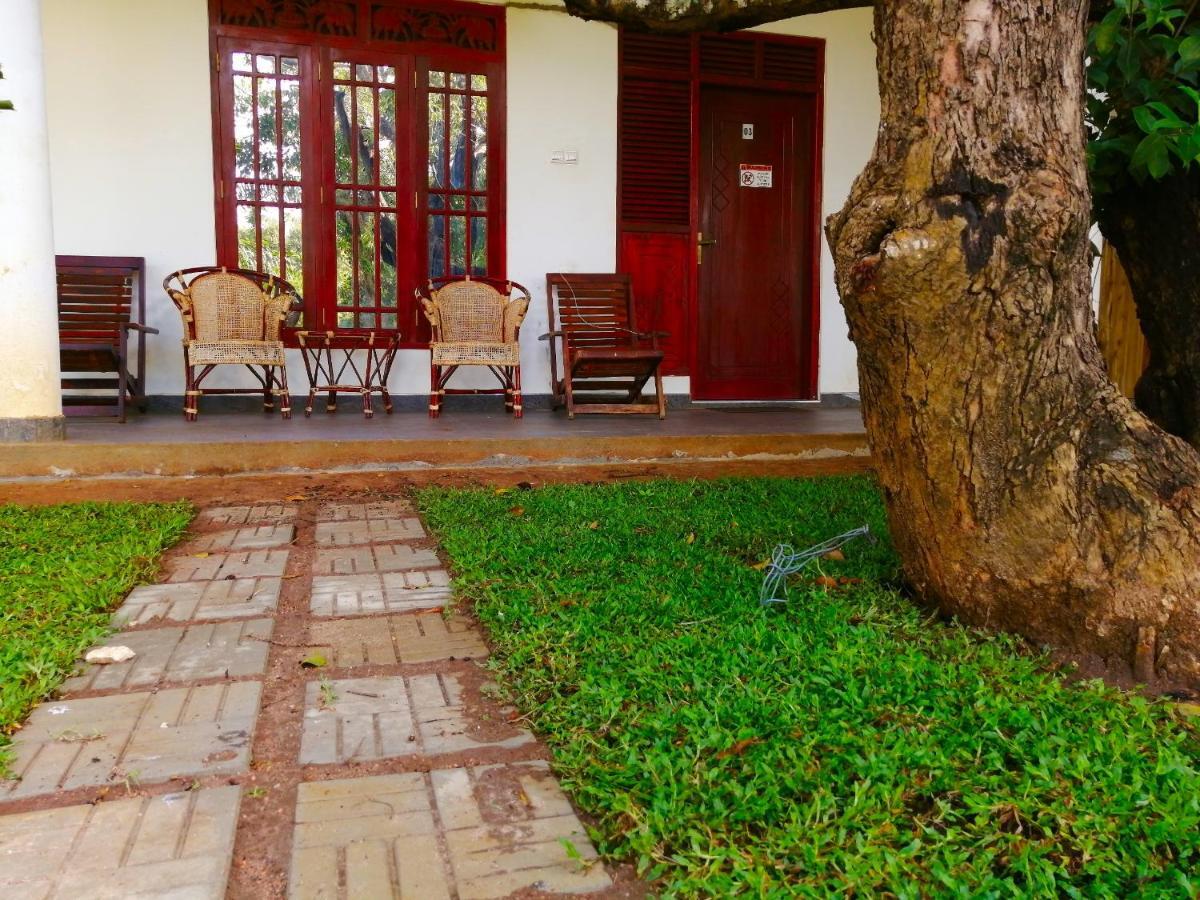 Sigiriya Green Garden Homestay Екстер'єр фото