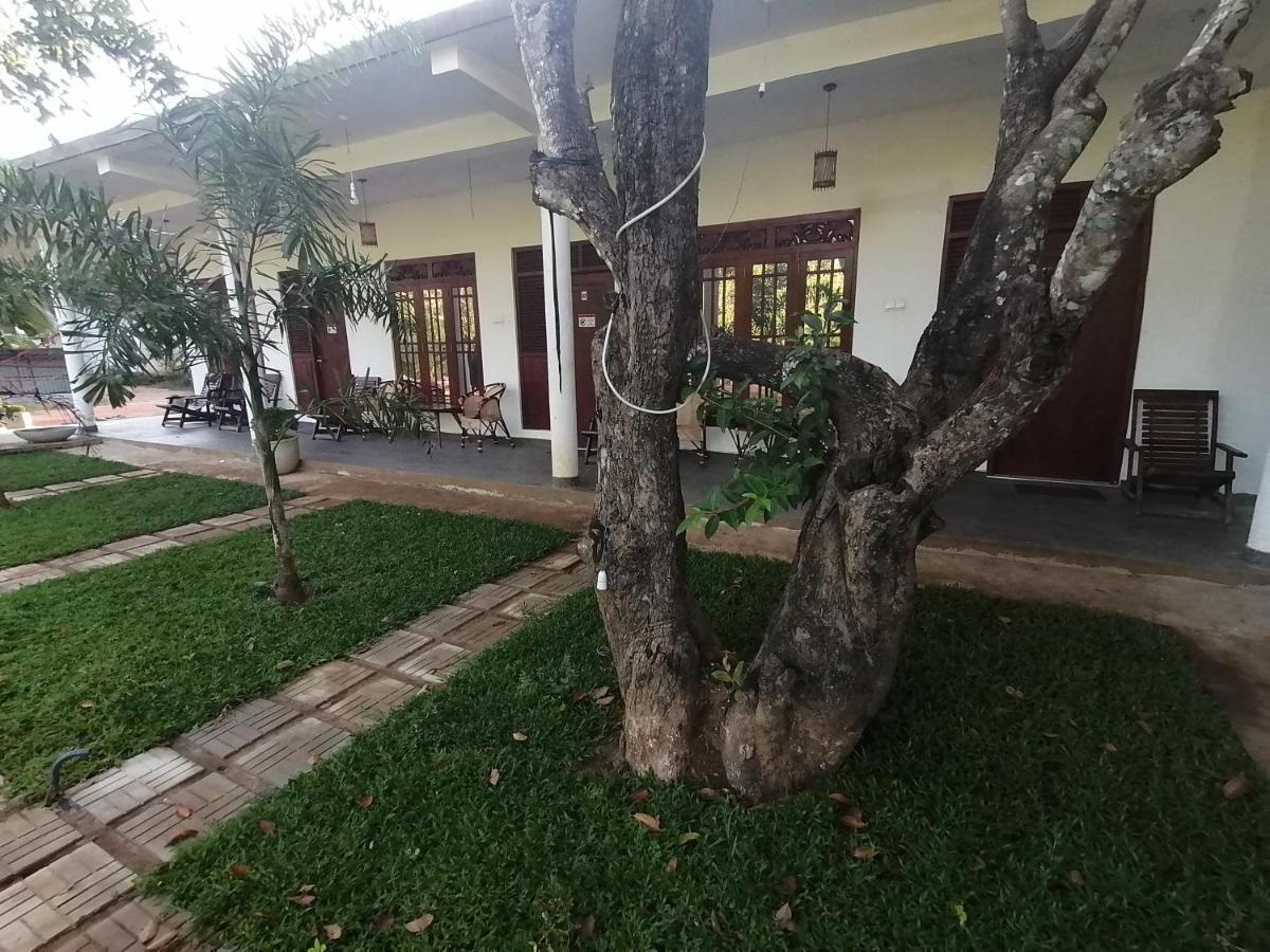Sigiriya Green Garden Homestay Екстер'єр фото